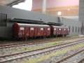 cloppenburg8079
